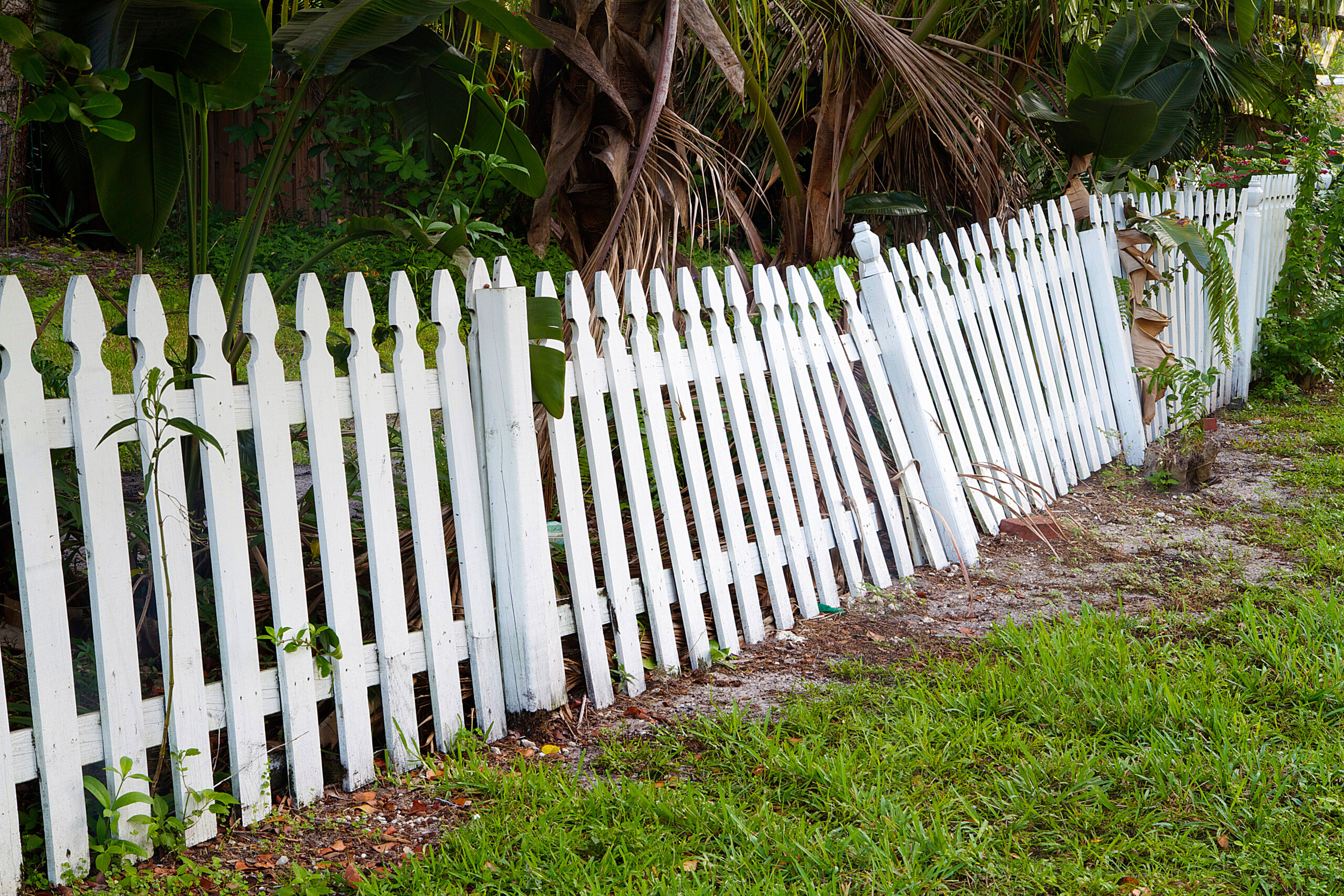 common fence problems