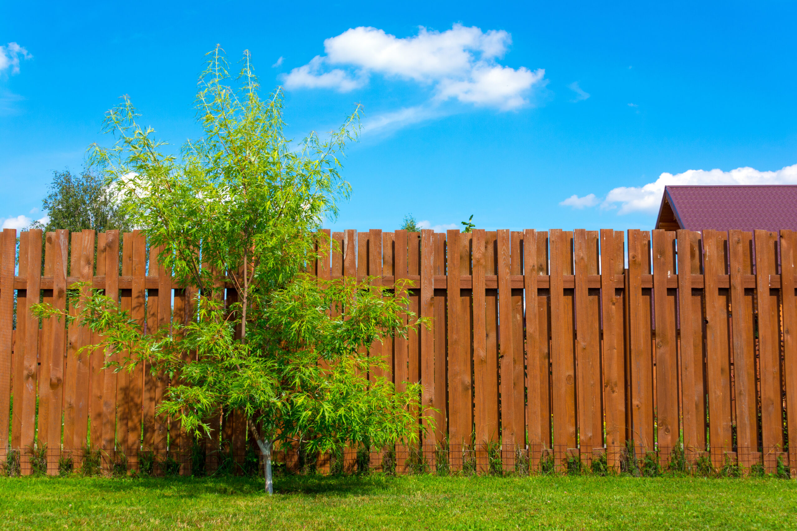 wooden fence